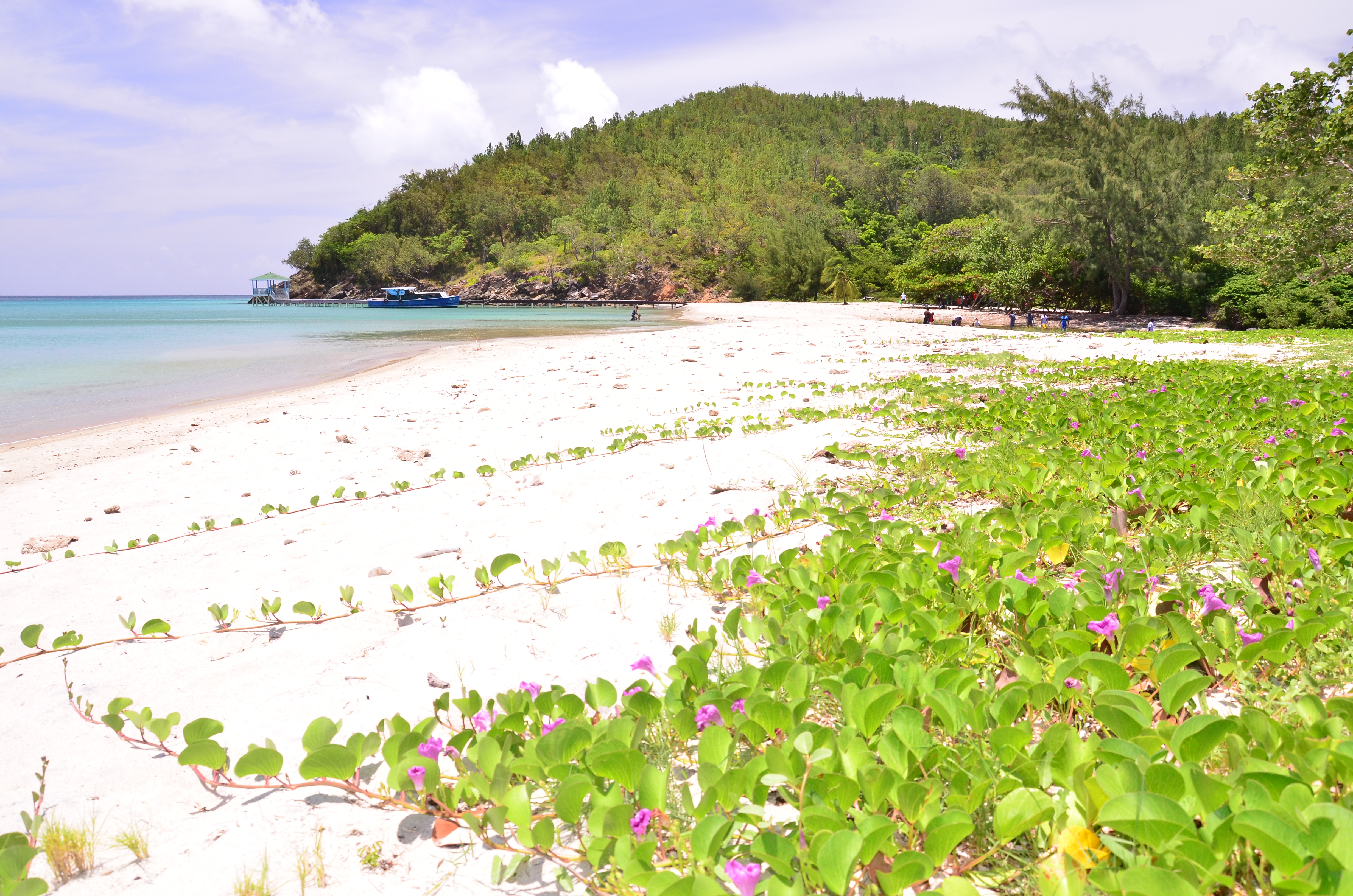 Playa El Soldado